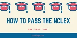 How to Pass the NCLEX The First Time  image
